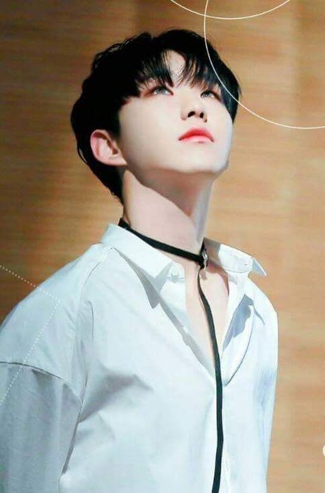 hourly hoshi tweet media