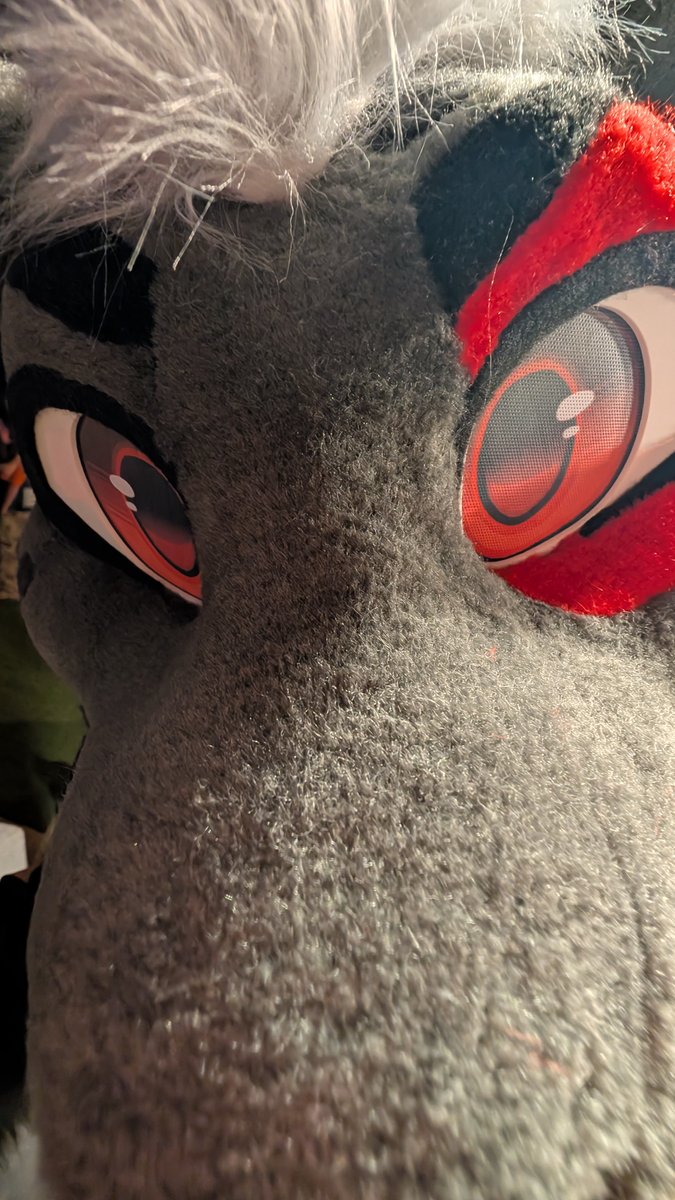 I Seeeeeee youuuuuuuu!

#FursuitFriday #fursuit #furry