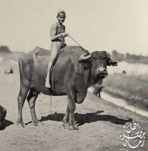 نورهـــ 🇸🇦 نجد العذيّة __ksa tweet media