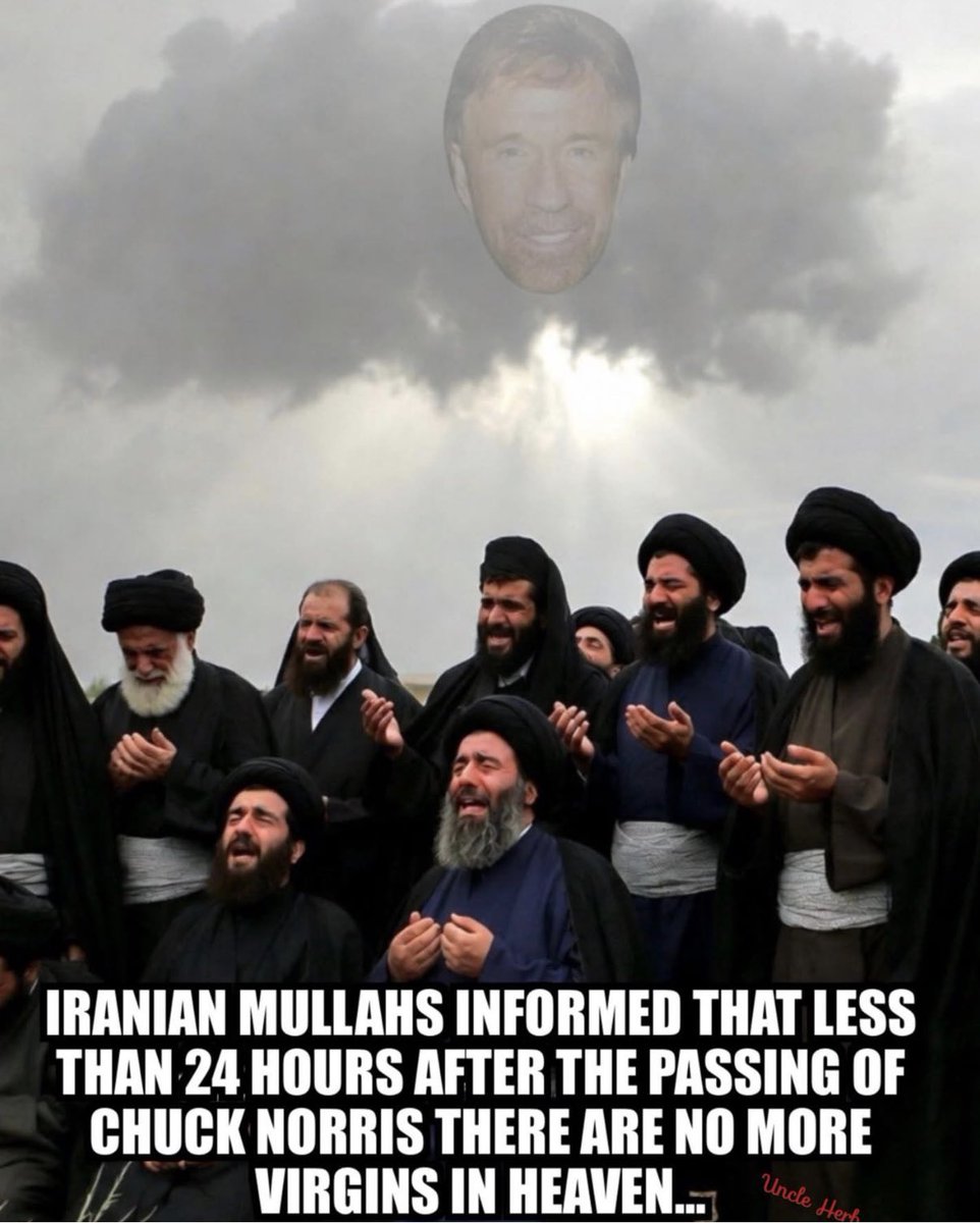 TROY ☎️ tweet media