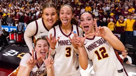 GopherHole.com tweet media