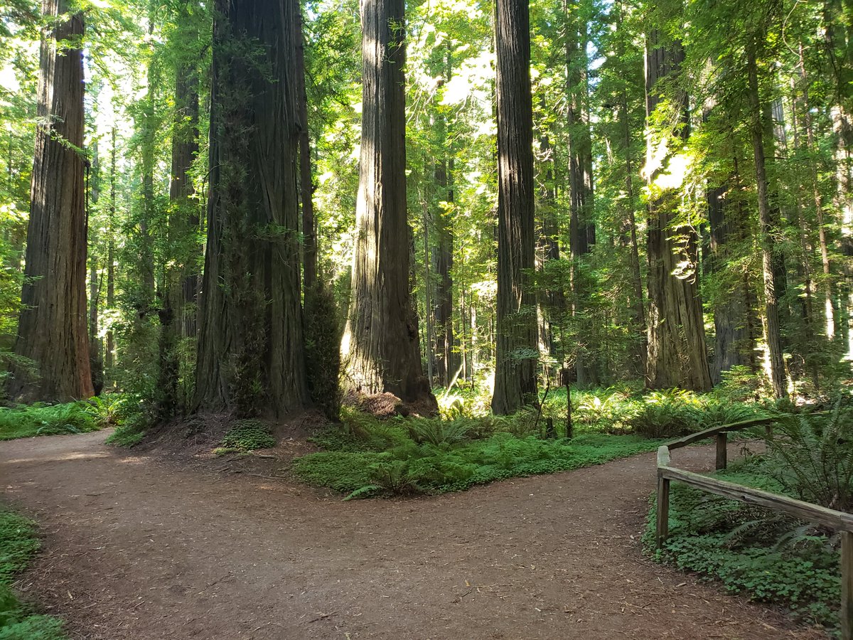 MetaHumanH tweet media