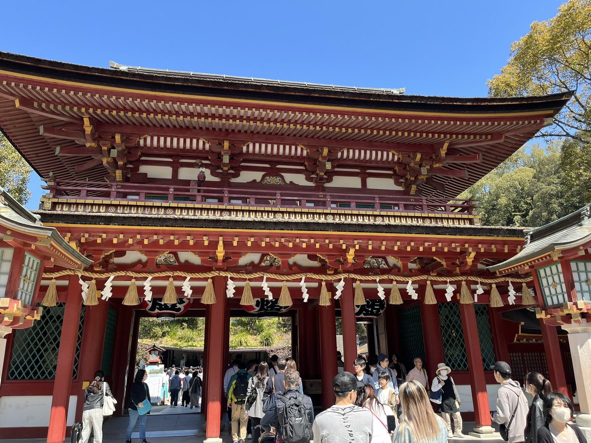 yosuke shimizu tweet media