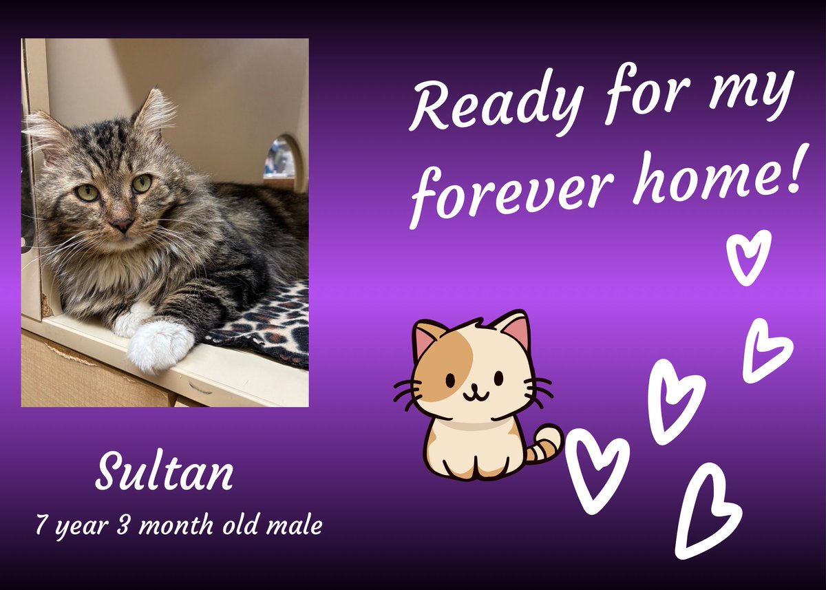 K-FROG Radio tweet media