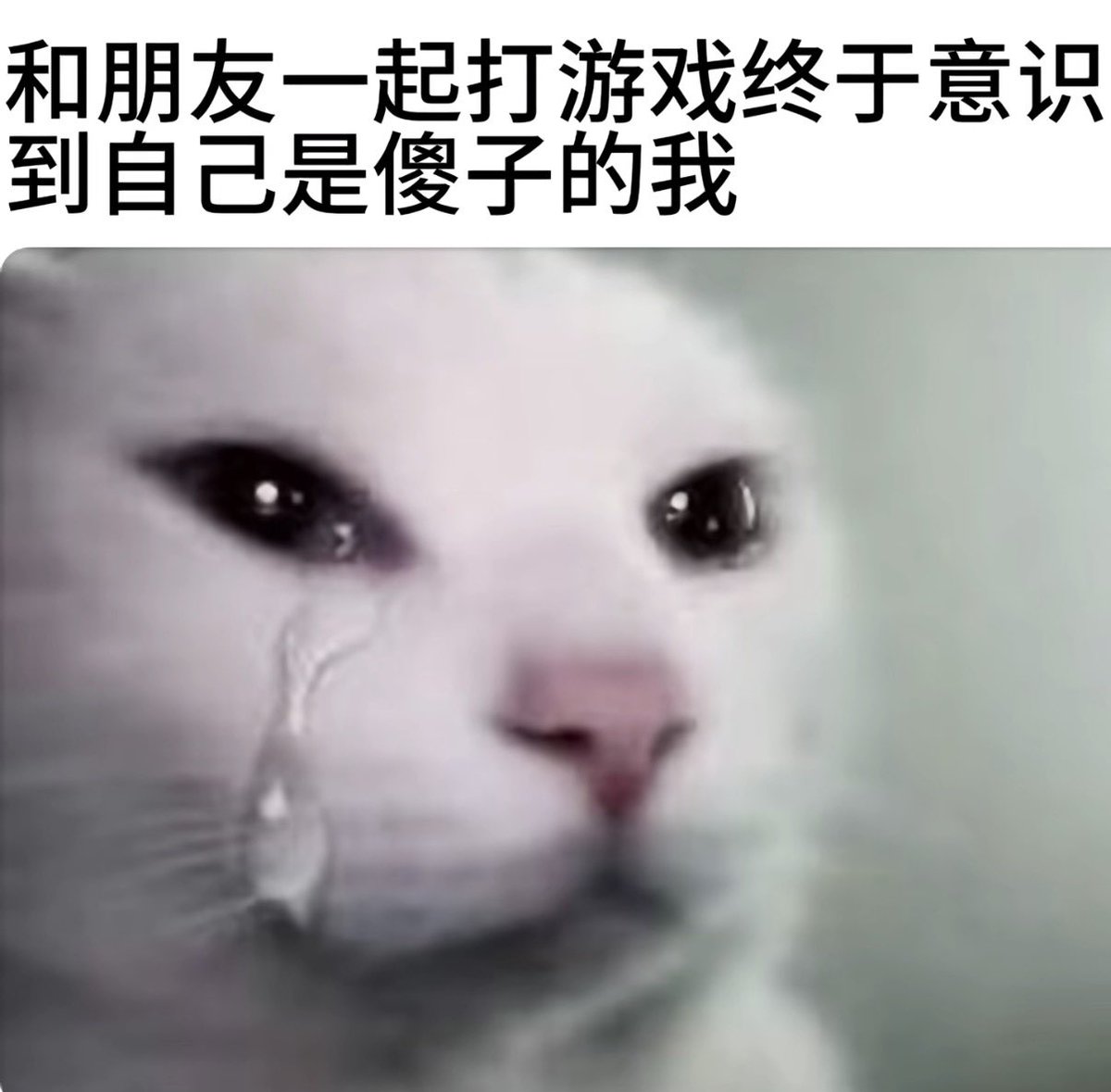 晚安点心 tweet media