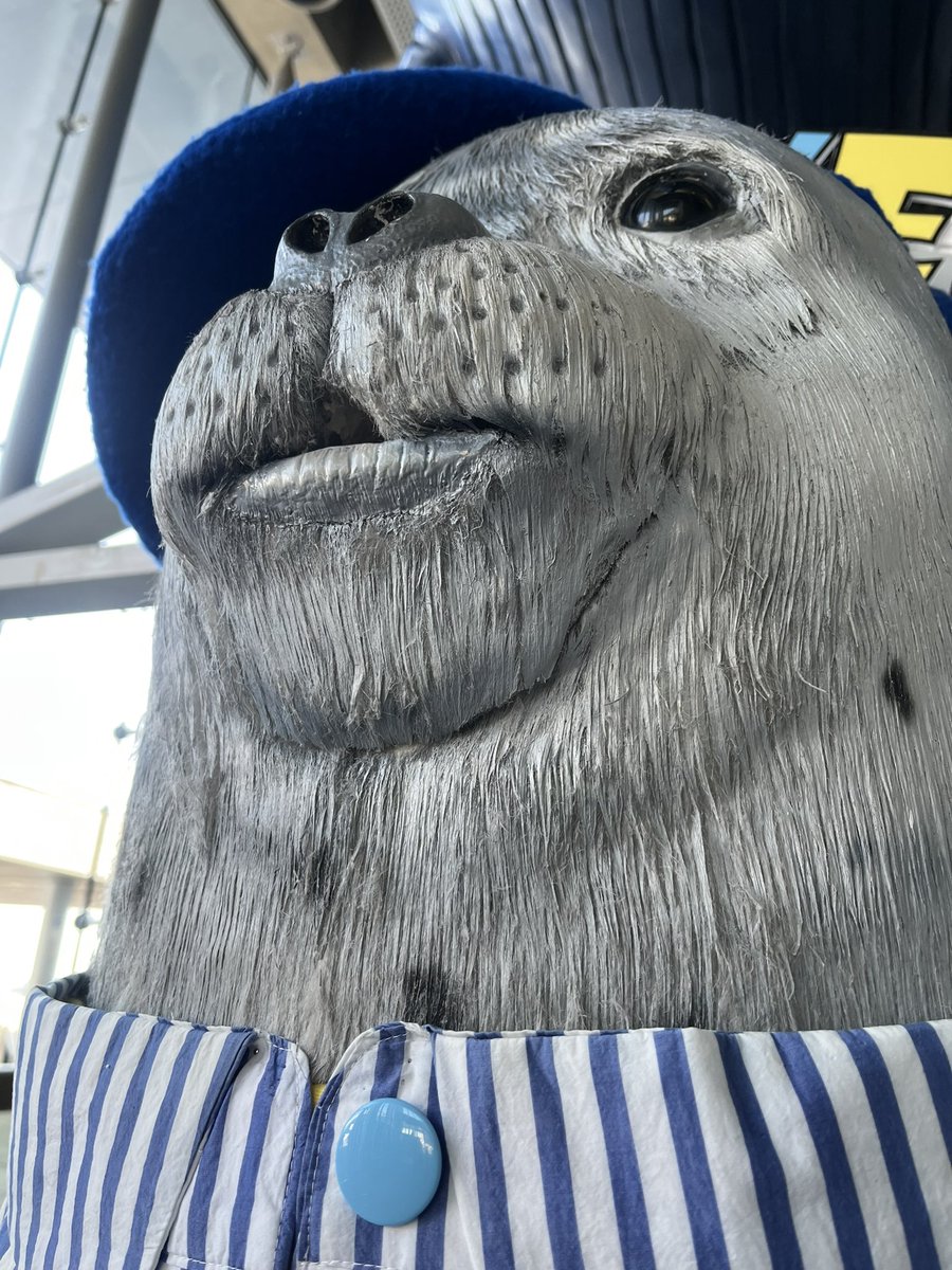 nana🦭 (@nana_24_2) on Twitter photo 