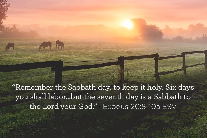 GoodMorning Friends and Foes ☕️

A blessed Saturday to you all and Happy Sabbath 🤍🤲