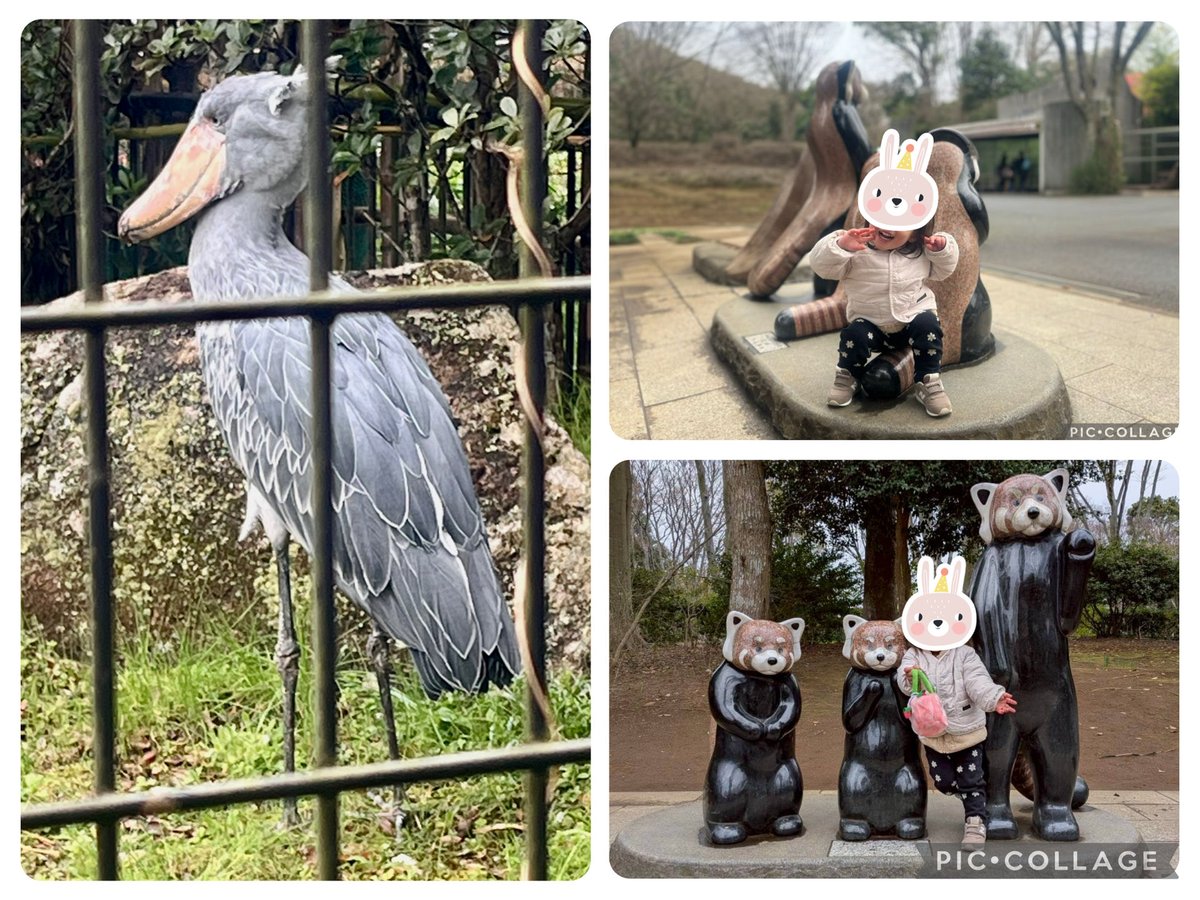 ともチャビ tweet media