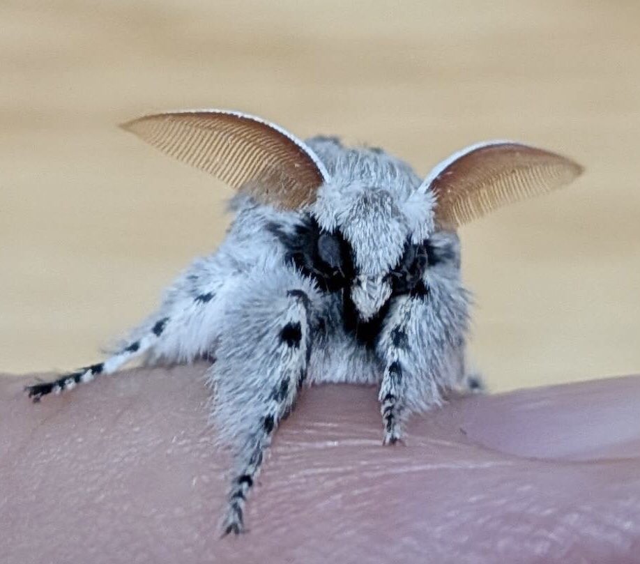 あちゃ🌱自然はいいな tweet media