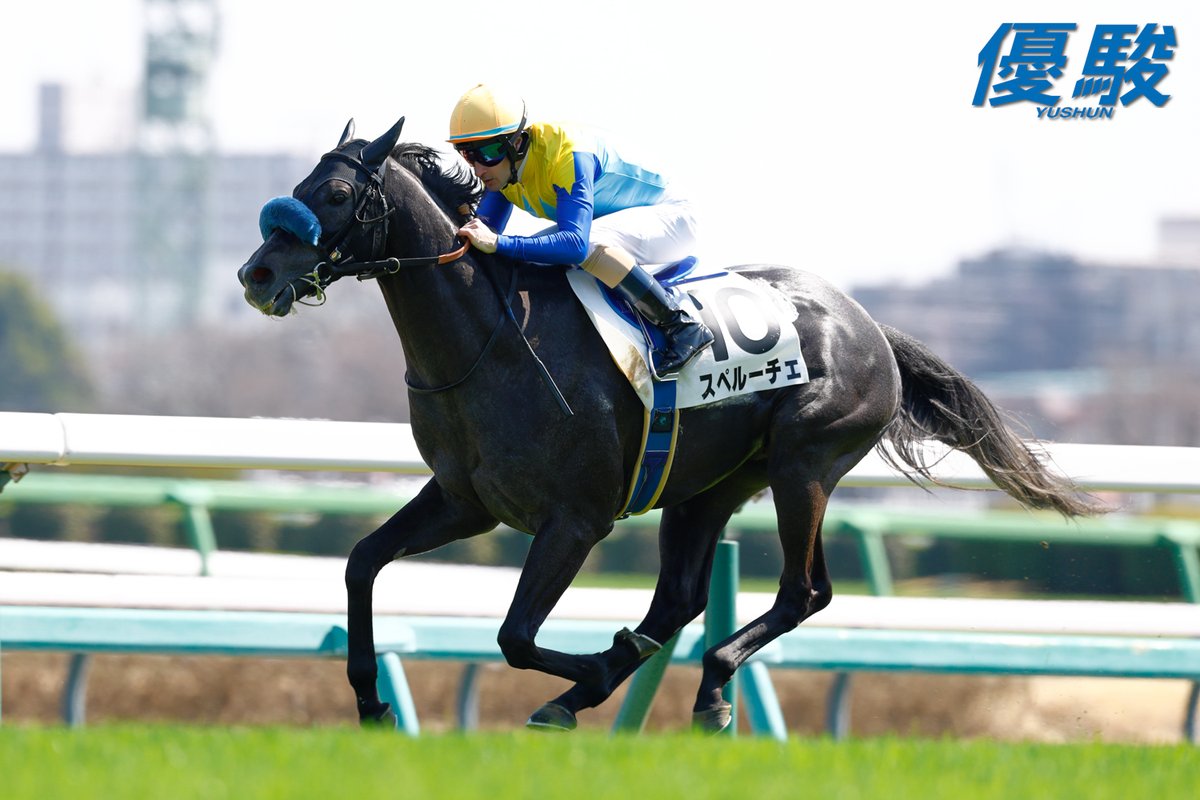 『優駿』編集部 tweet media