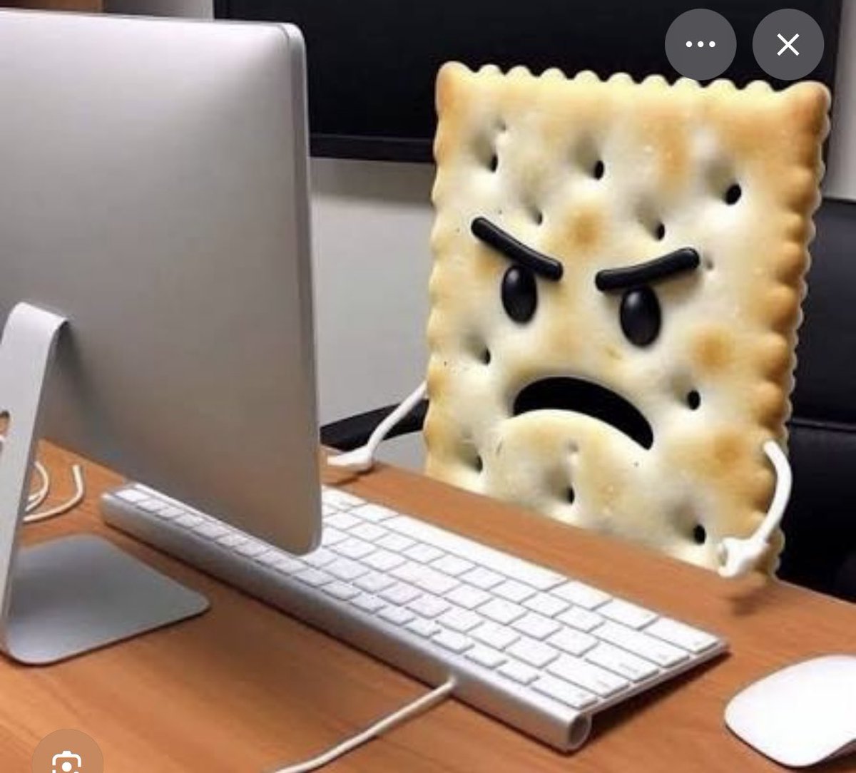 Capt. Sum Ting Wong tweet media