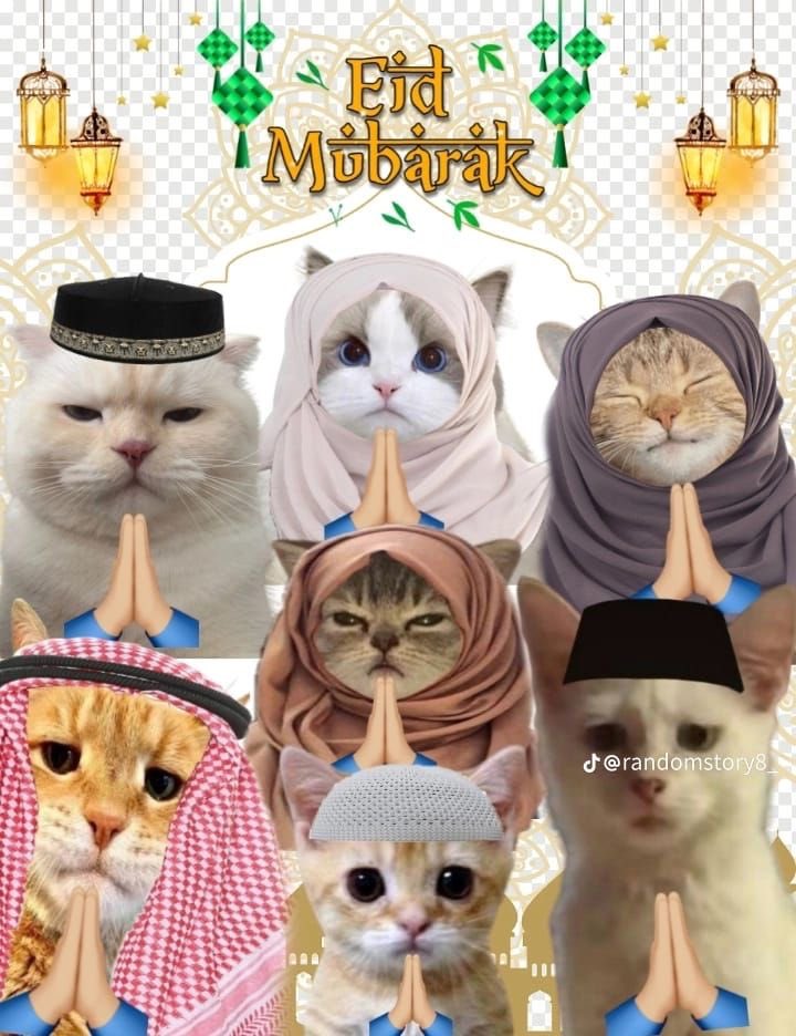 Claude☁️ tweet media