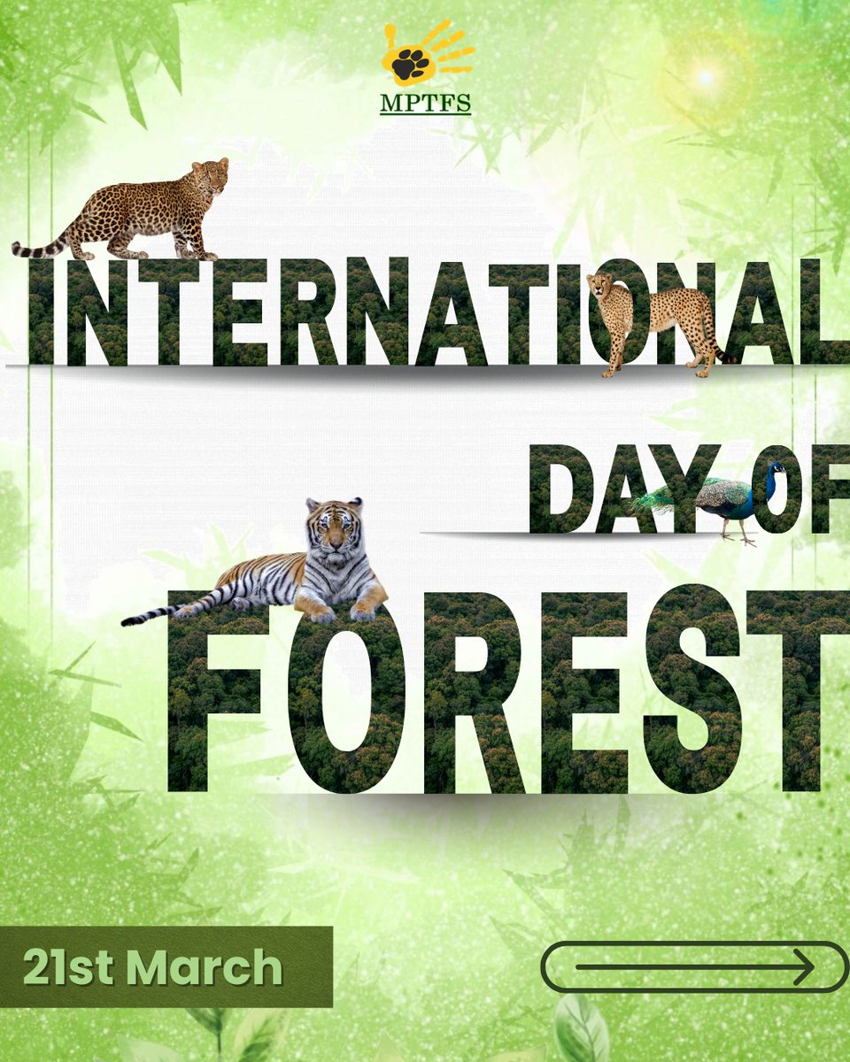 MP Tiger Foundation Society tweet media