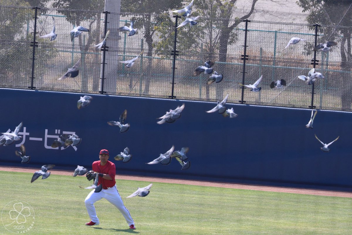 🦊🦁🍀 tweet media