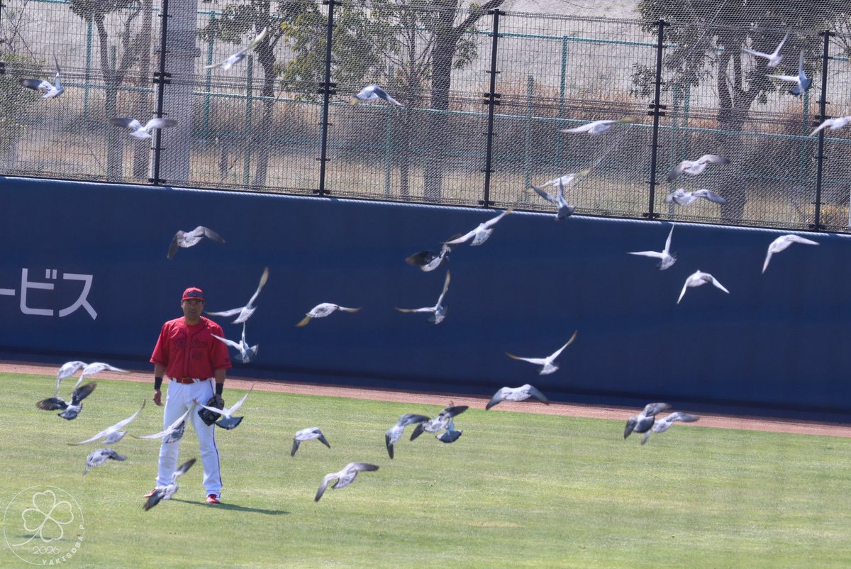 🦊🦁🍀 tweet media