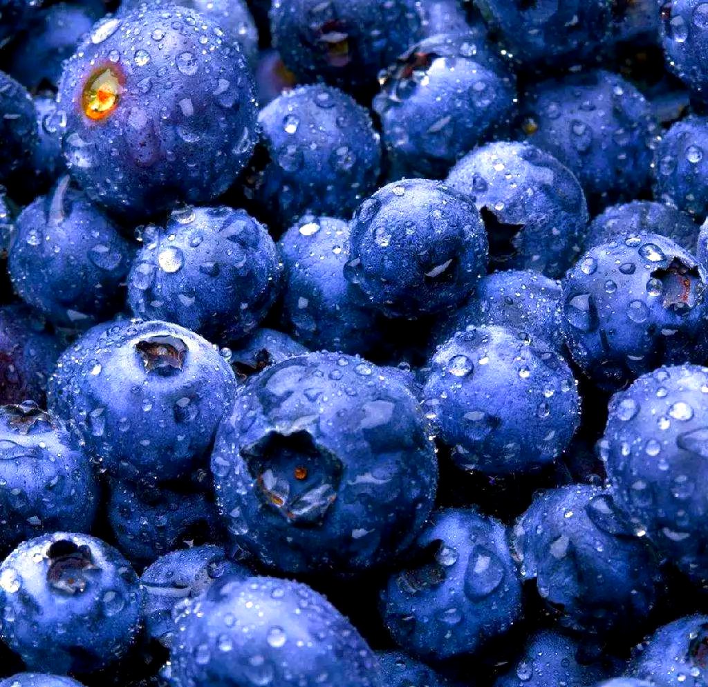 Courtney kidwell tweet media