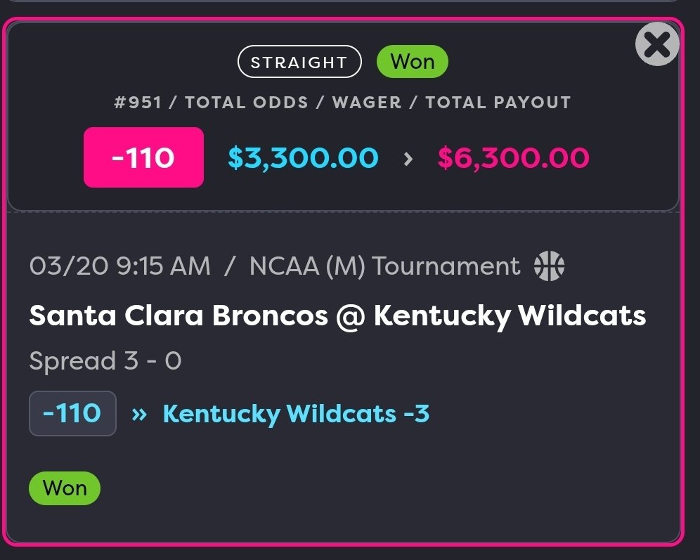 Frankie Taddeo tweet media