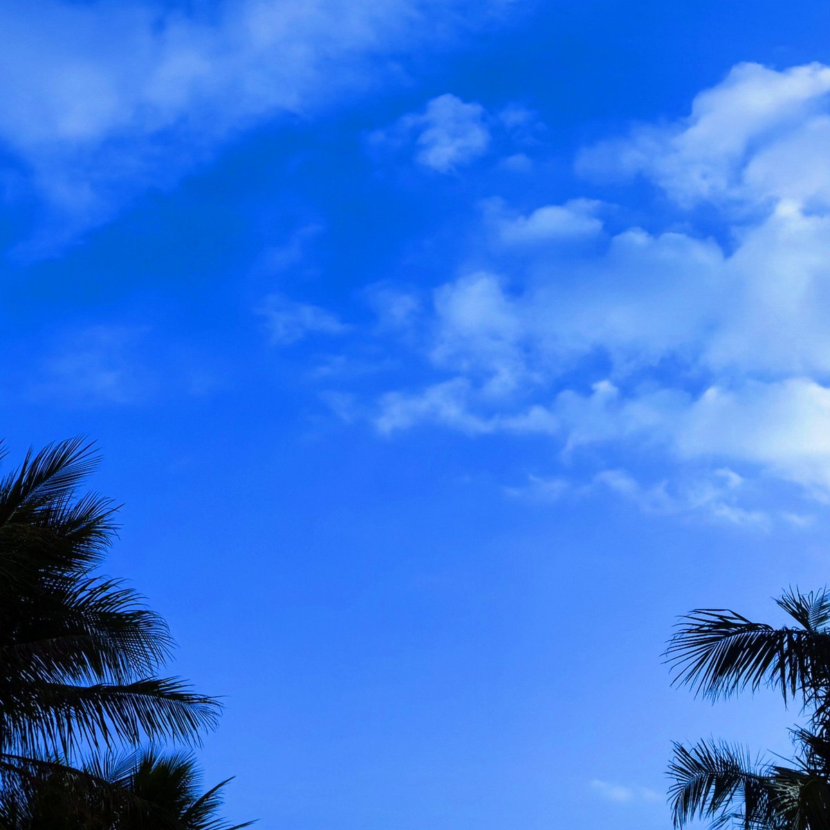 Bill Walker tweet media