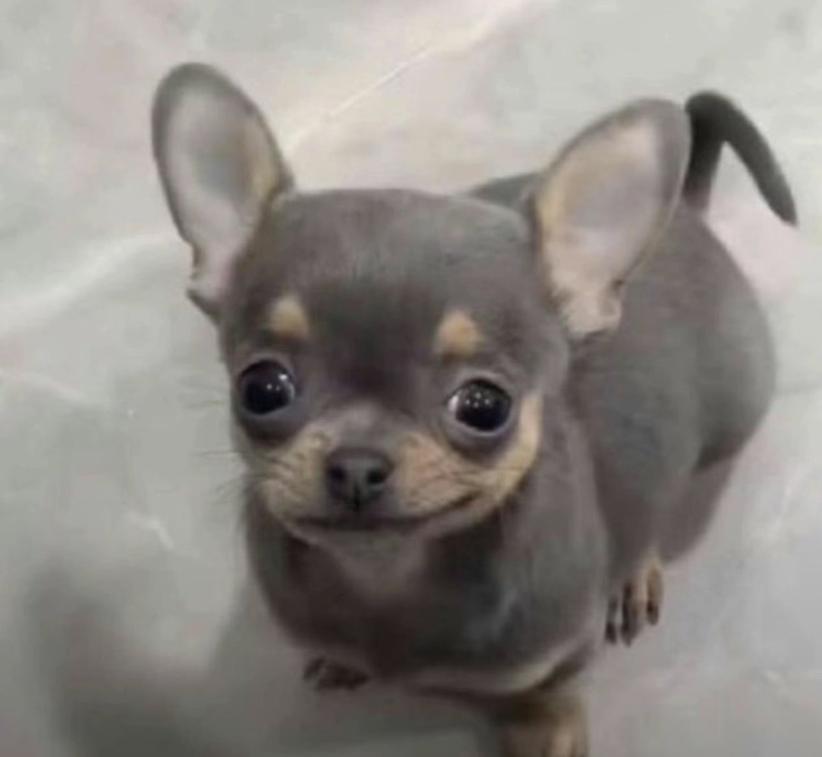 summer 🐍🎈 tweet media