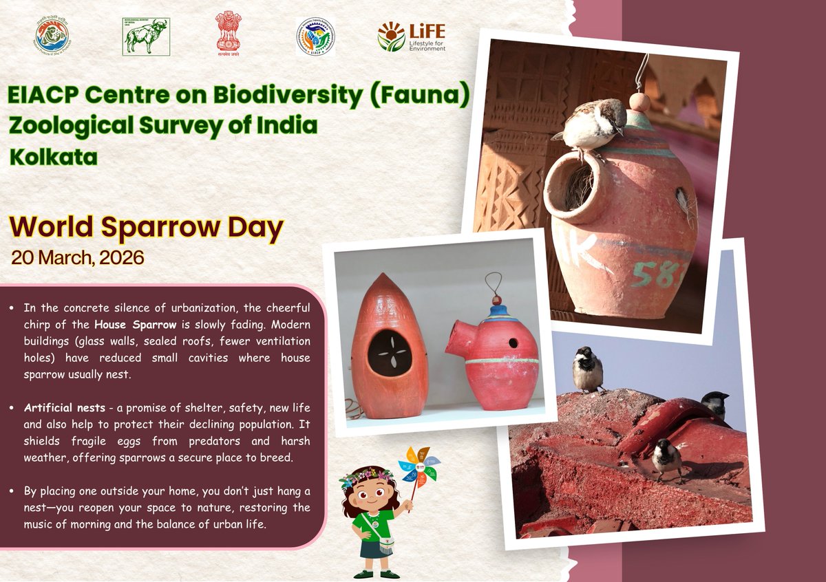ZSIEIACP's tweet photo. World Sparrow Day (2026) https://t.co/M7m5V8smeT