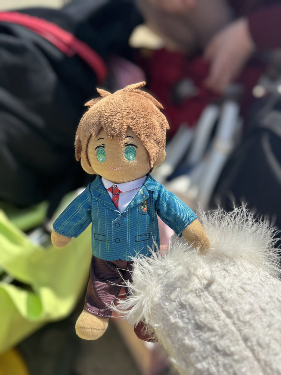 1771031ainosima's tweet photo. 【拡散希望】 3/21 13:20頃 
幕張メッセ 会場周辺にて
ぬいスター セシルの靴を片方落としてしまいました😭😭😭😭

見かけた方いらっしゃいましたら
リプDMくださると嬉しいです……😭😭😭😭😭😭 https://t.co/EGM9jGc8Nk