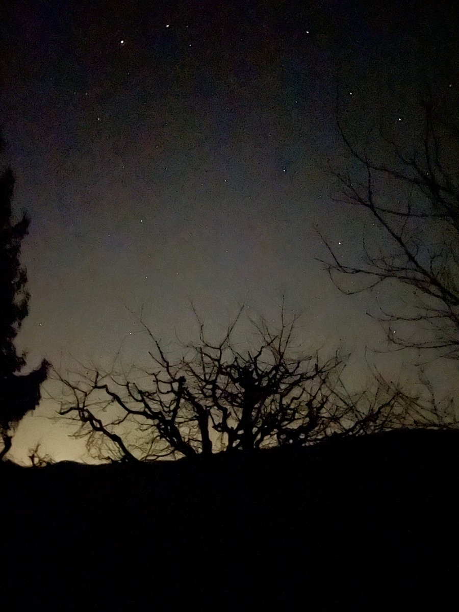 LeaRotenbach tweet media