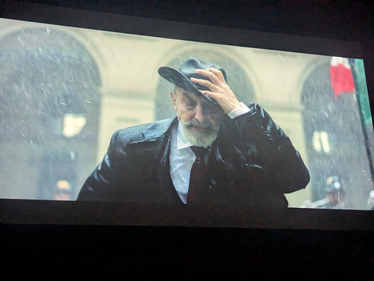 el gato raro tweet media