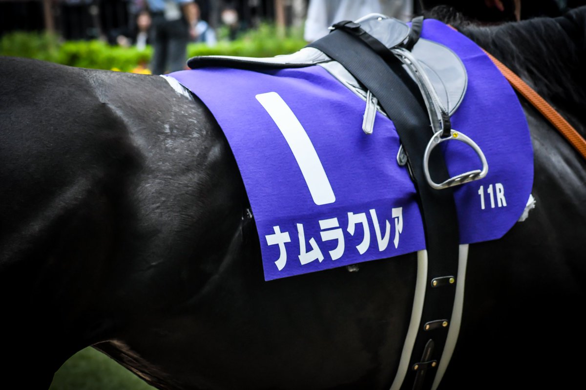 ときわ tweet media