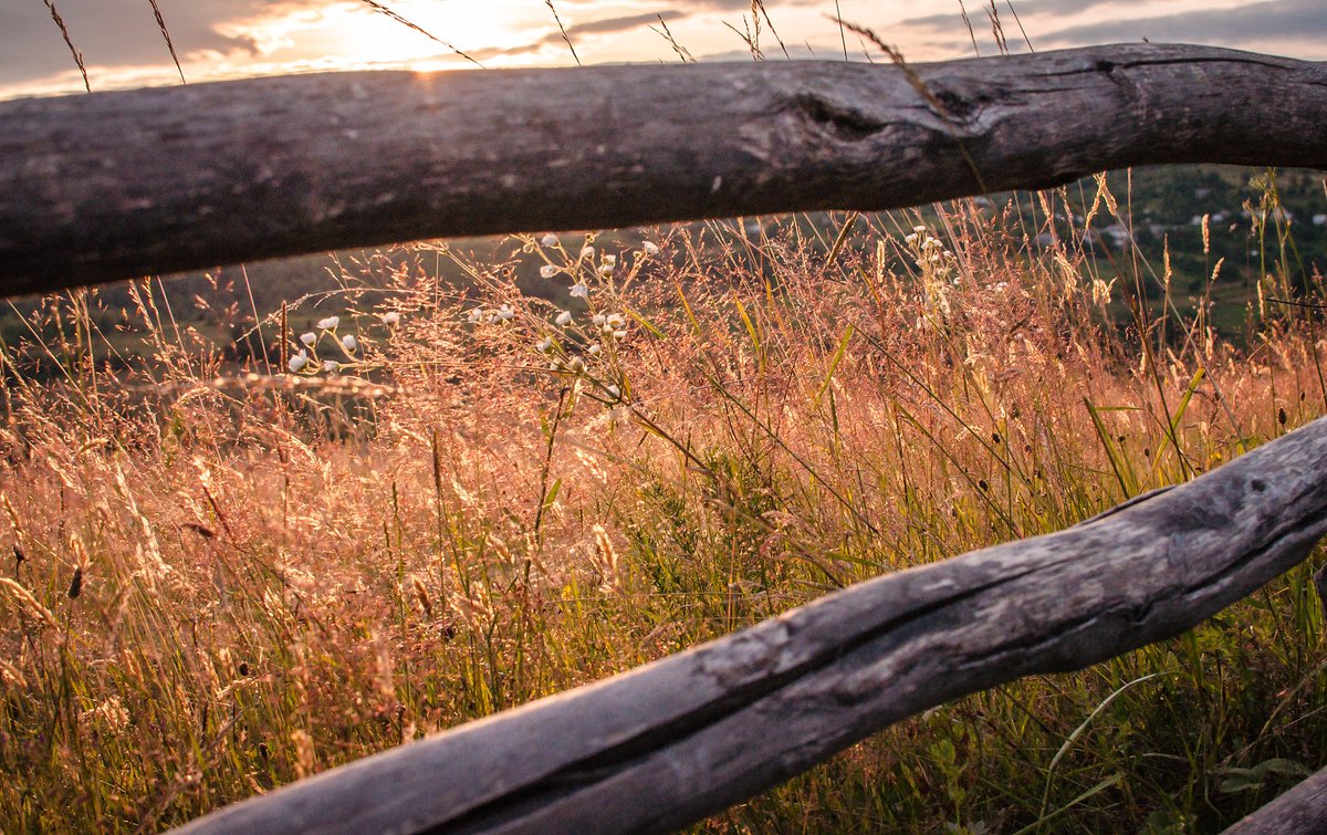 Elliot Mcdonald tweet media