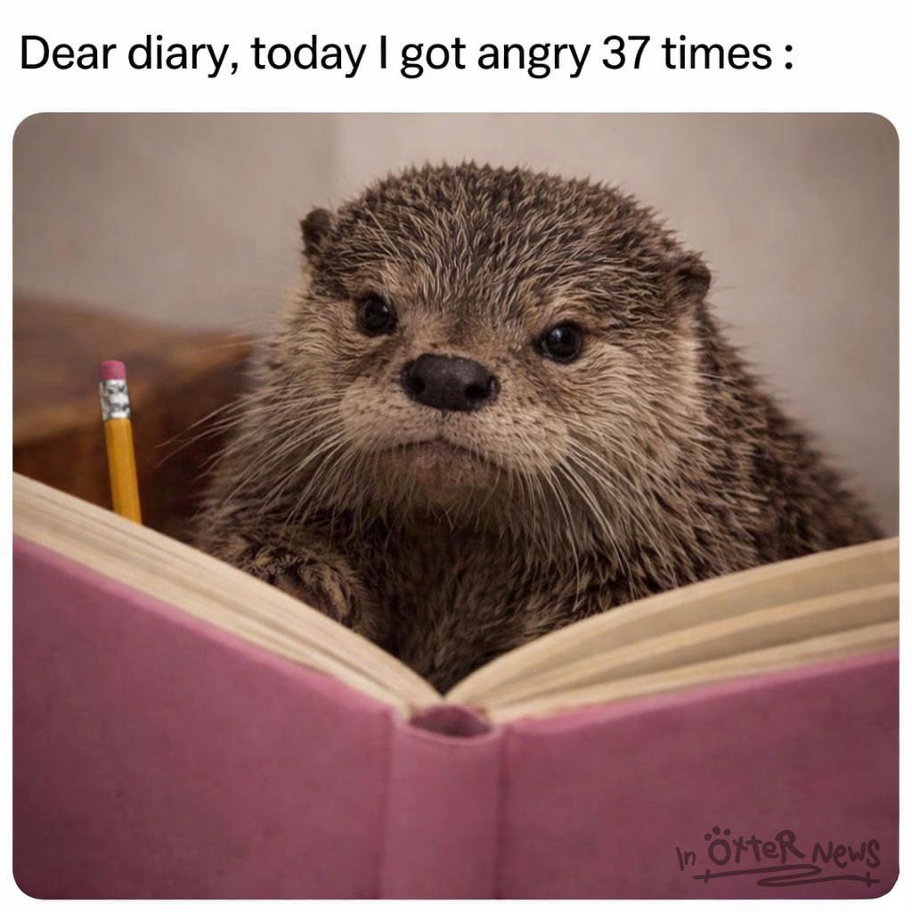 LoisAceLane tweet media