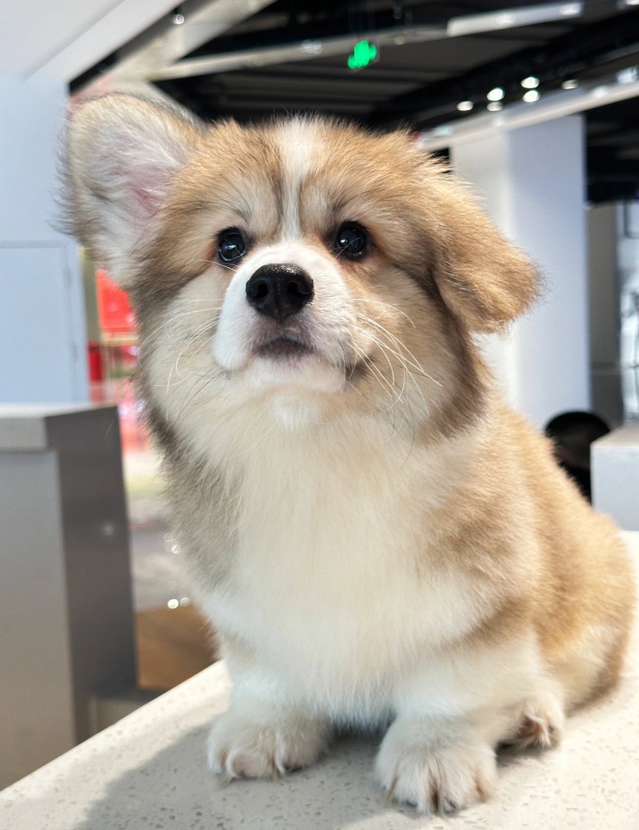 Jim Bull tweet media