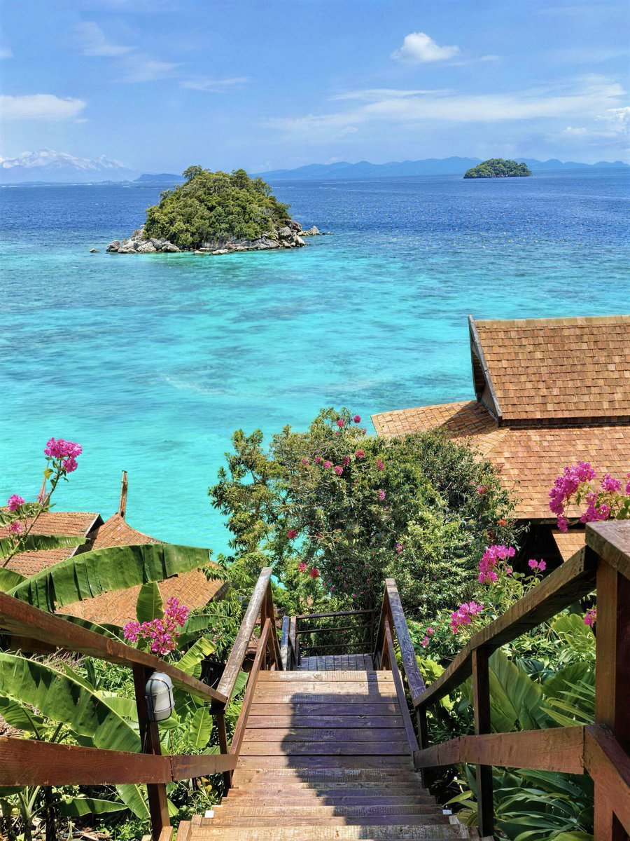 Noorie lova tweet media