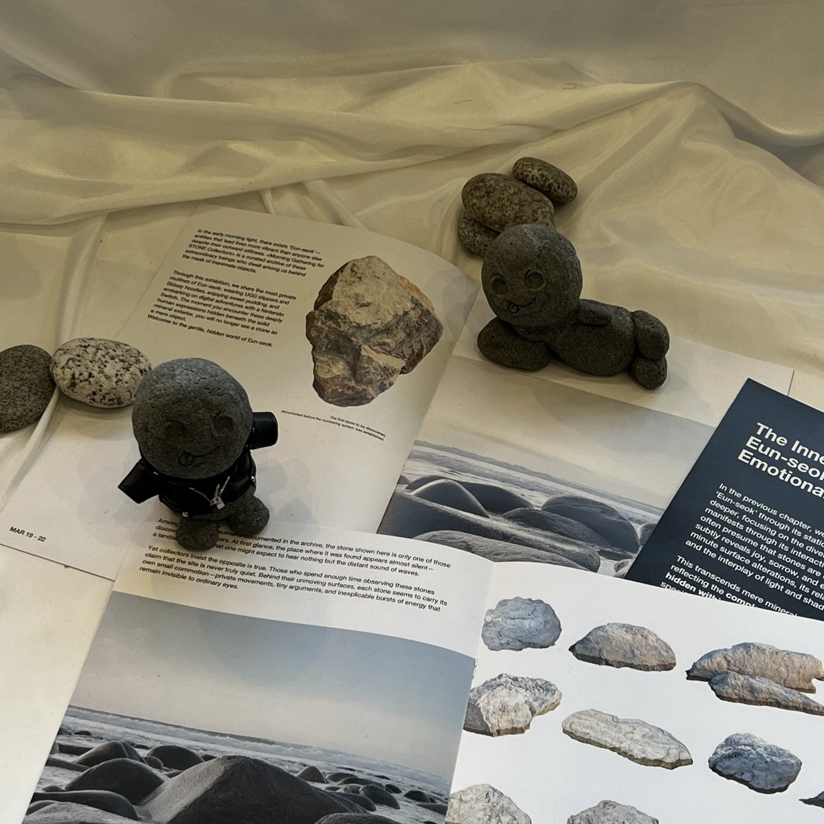 🐈‍⬛ tweet media