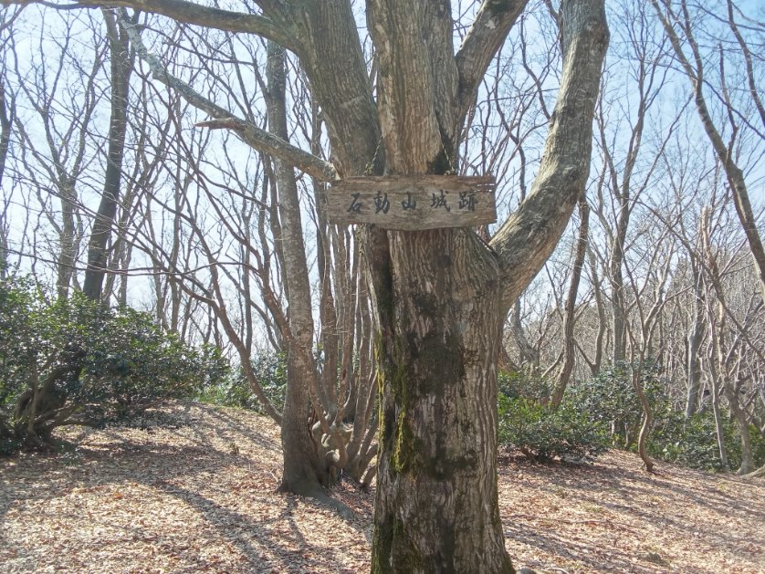 houmatsu_34's tweet photo. はるばる来たぜ石動山城！城跡というより廃寺だけど。
さあ、現地招城だ！
→い　つ　も　の

#城プロRE https://t.co/h4VARjbkER