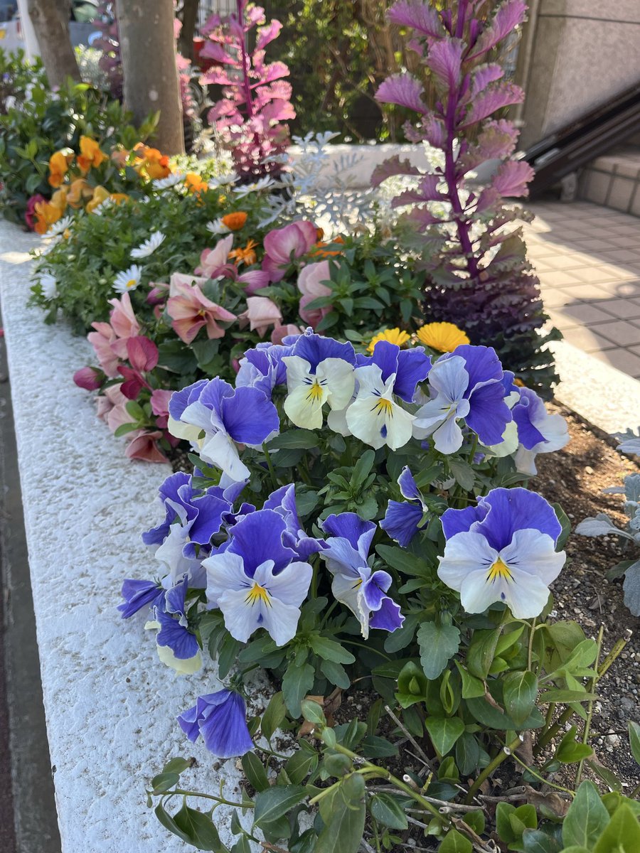 歯医者　、終わたっ　！