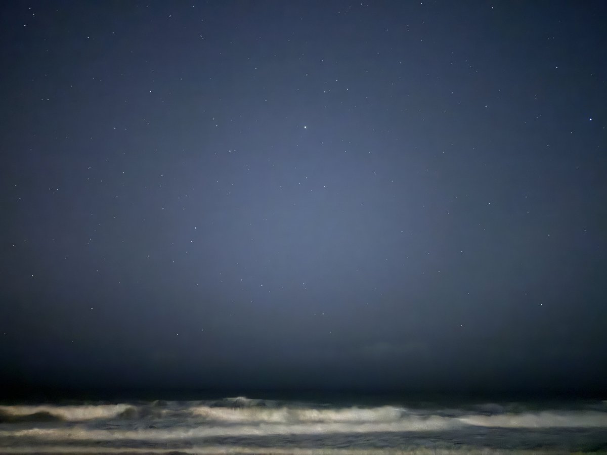 Ruri Moth 🌌VT tweet media