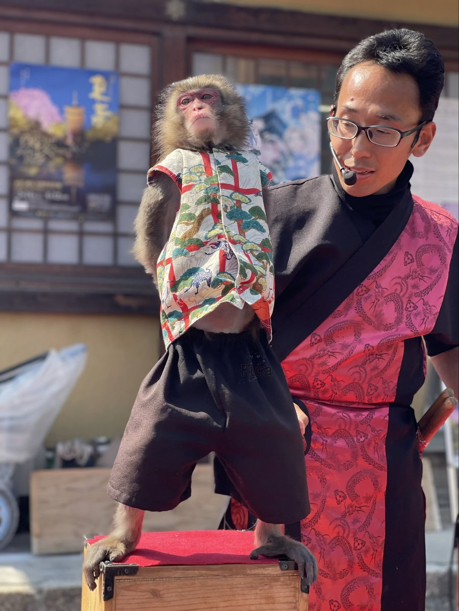 今日はこちらに😊
暑くて溶けそう🥵🫠
とっても嬉しいニュース📢も🤭🎉
#神戸モンキーズ🐒
#ニ助企画
#壱ノ宮
#いちのすけ