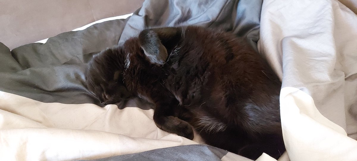 RandоmNaNastya tweet media