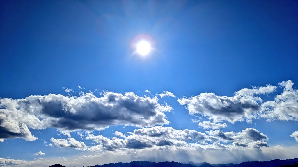 舞桜(まお) tweet media