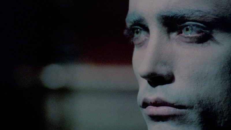 Alex Wiggins tweet media