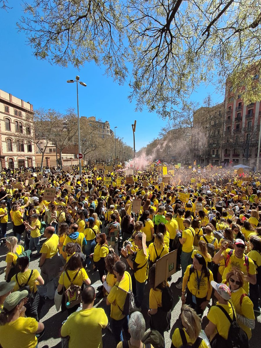 Francesc Matas Salla tweet media