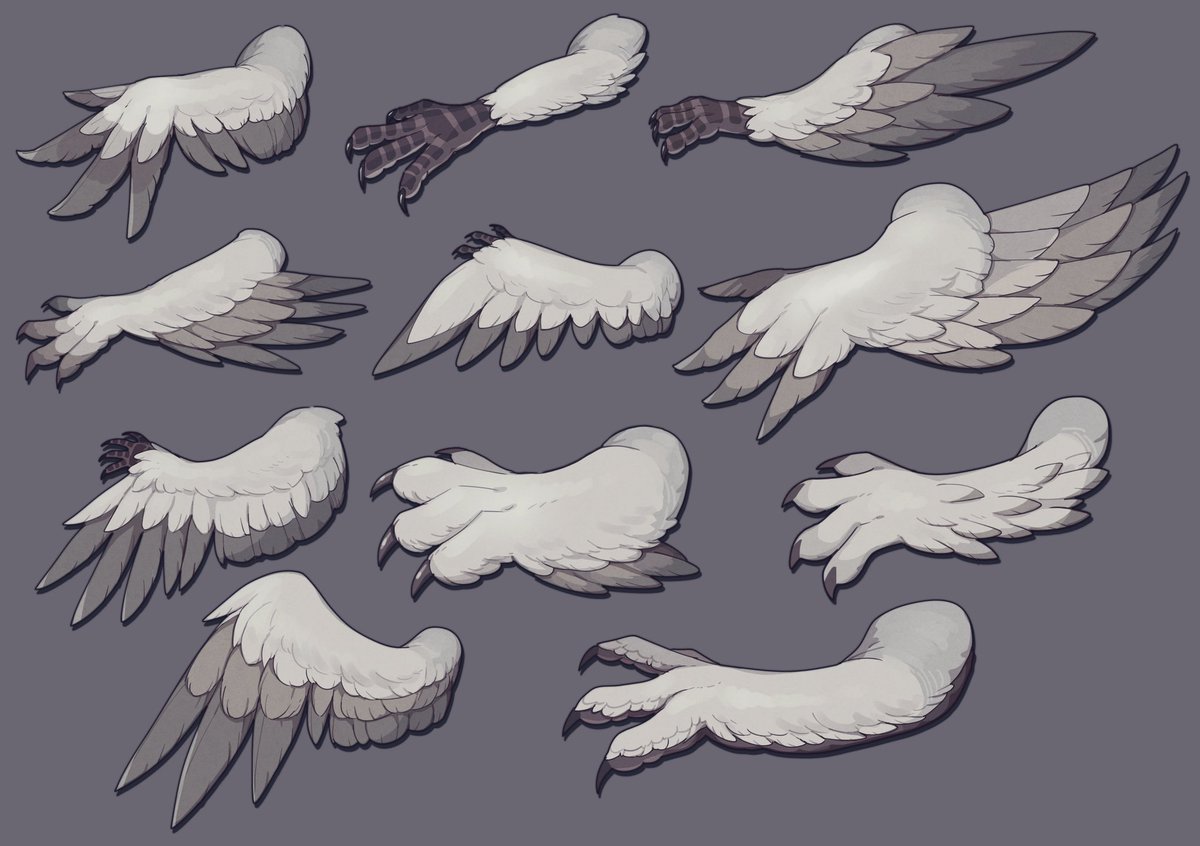 とかくよ tweet media