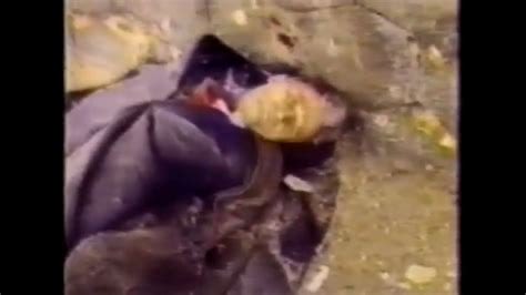 herenoting992 tweet media