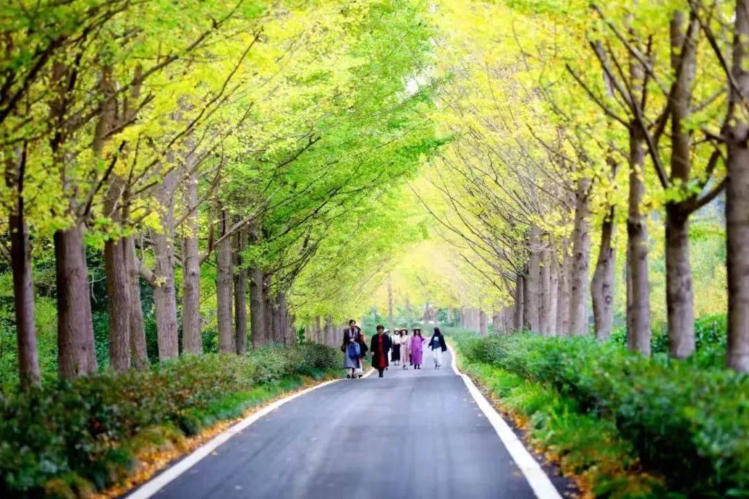 wongchoo apple tweet media