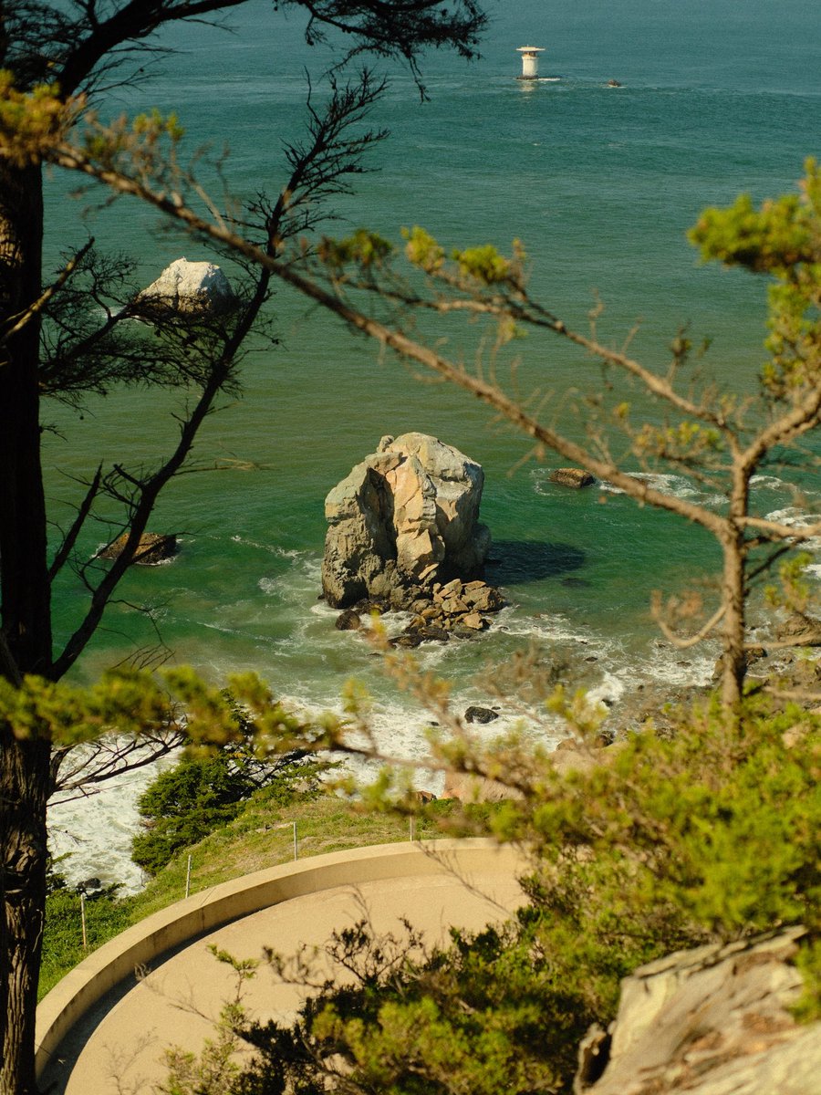 Marijana Pavlinić tweet media