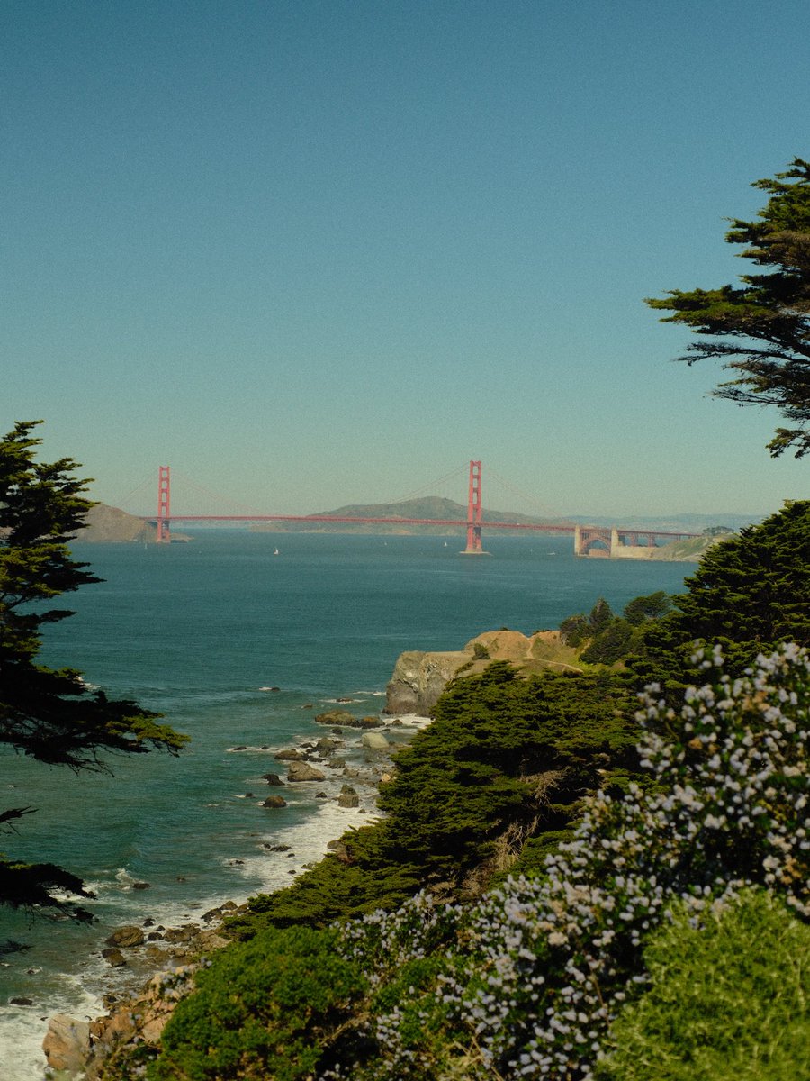 Marijana Pavlinić tweet media