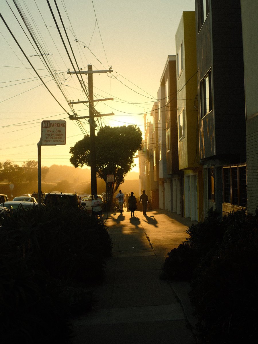 Marijana Pavlinić tweet media