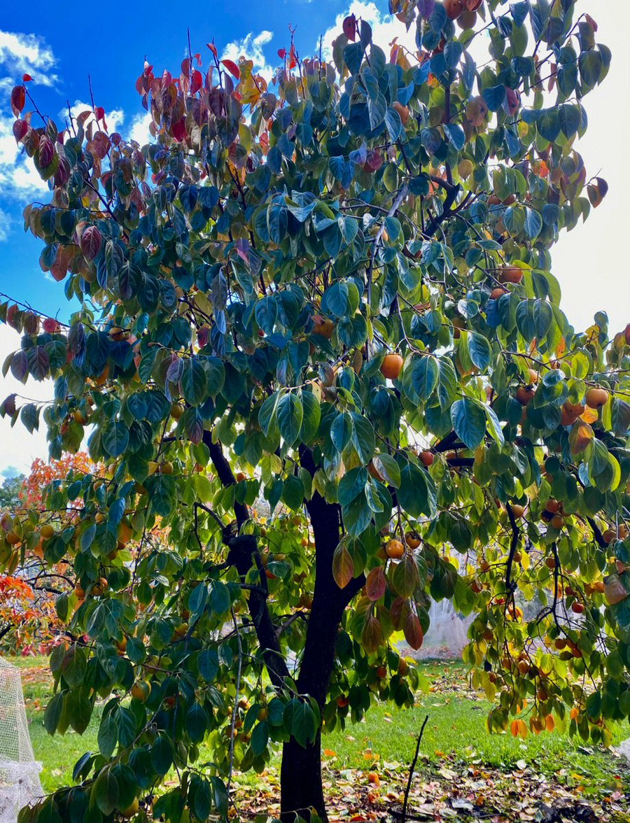 Витвицкий Кирилл tweet media