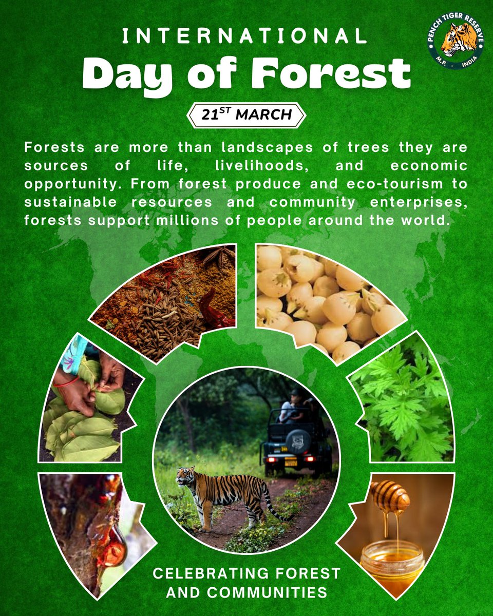 Pench Tiger Reserve tweet media