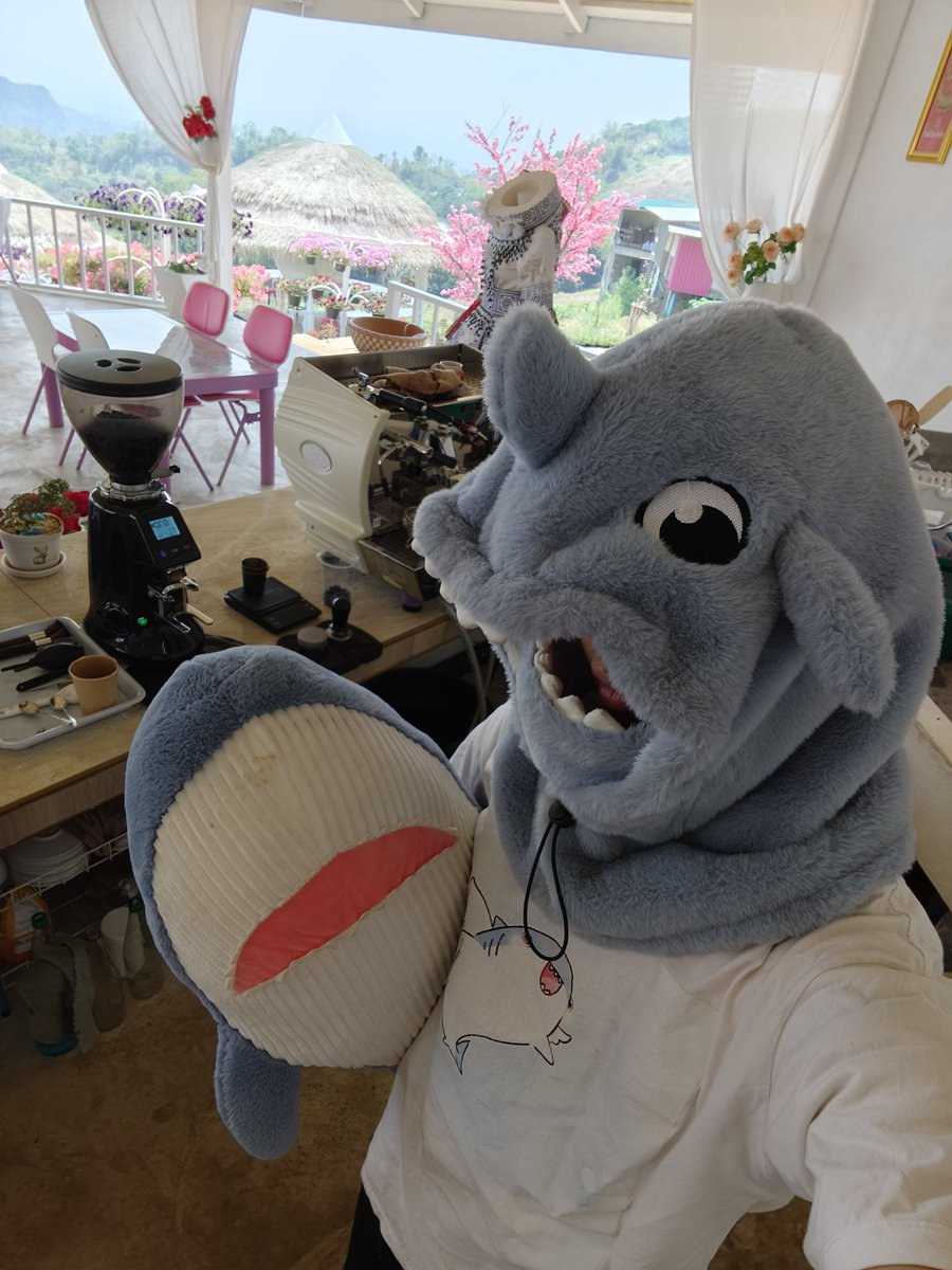 Same_kun ฉลามติดกาแฟ tweet media